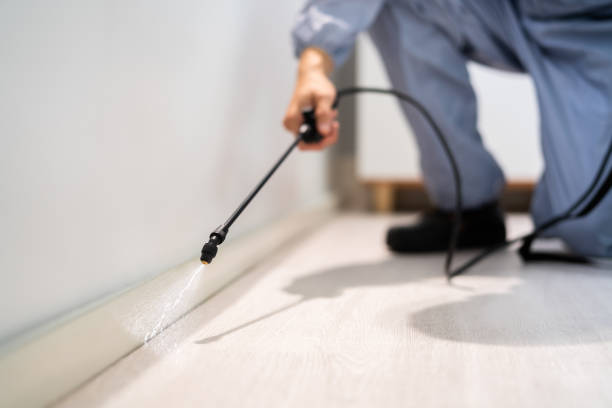 Licensed Pest Control service in Smithton, IL - Show Me Pest Control
