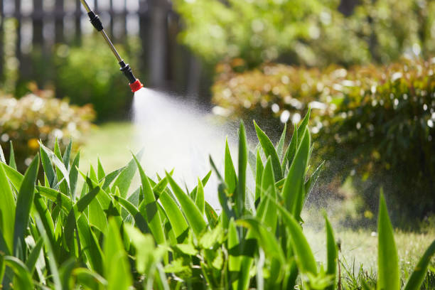 Void Injection for Cockroach Colonies in Smithton